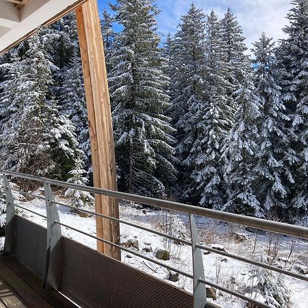 Studio Chamrousse 1700 Pour 4 Personnes - Au Calme - Avec Wifi Εξωτερικό φωτογραφία