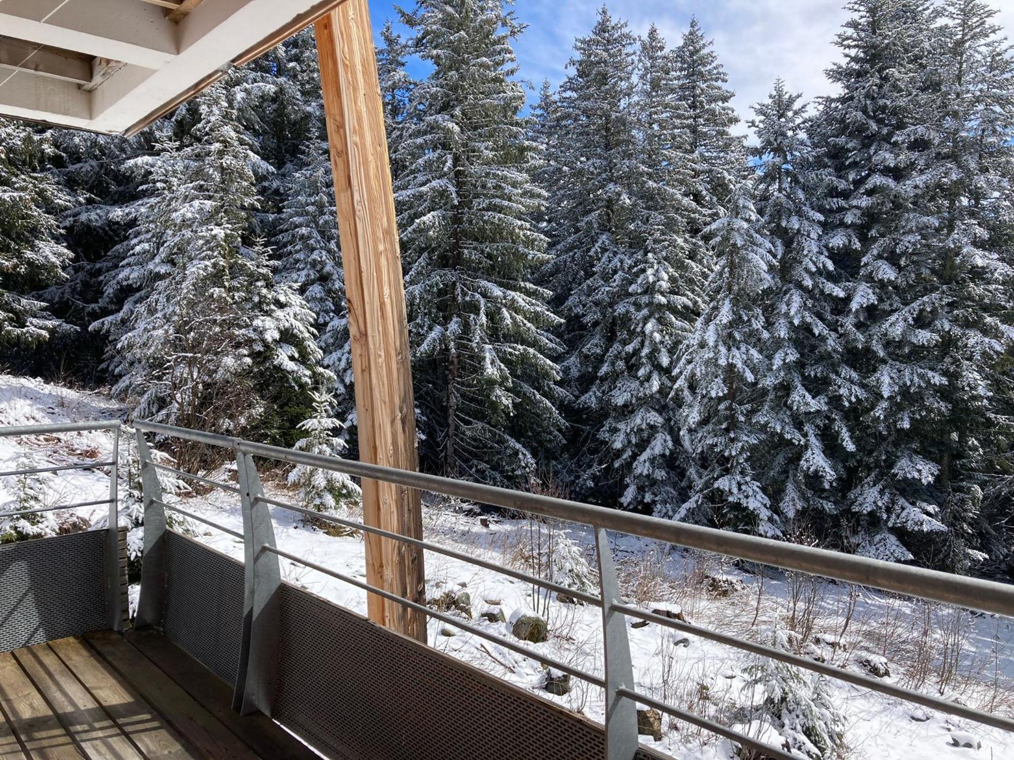 Studio Chamrousse 1700 Pour 4 Personnes - Au Calme - Avec Wifi Εξωτερικό φωτογραφία